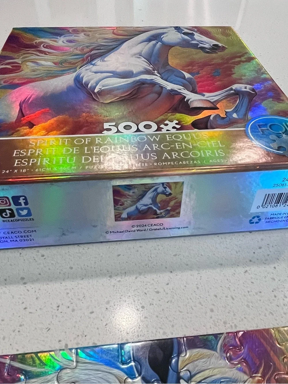 Spirit of Rainbow eqqus Horse Foil Puzzle